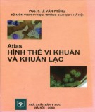 Ebook Atlas Hình thể vi khuẩn và khuẩn lạc