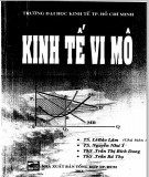 Ebook Kinh tế vi mô - TS. Lê Bảo Lâm