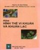 Ebook Atlas Hình thể vi khuẩn và khuẩn lạc